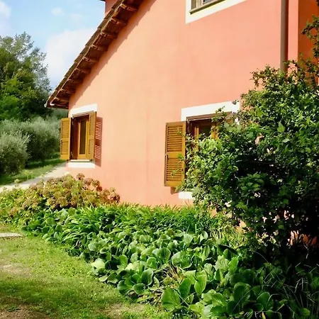 Flavia Apartament