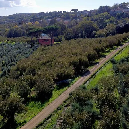 Flavia * Manziana