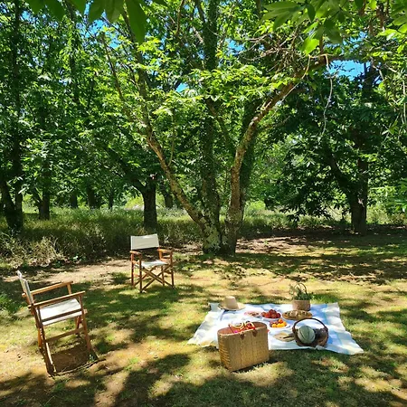 Apartament Flavia *